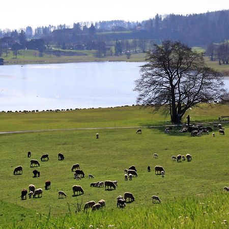 Im Roeseligarten Wolfhausen Buitenkant foto