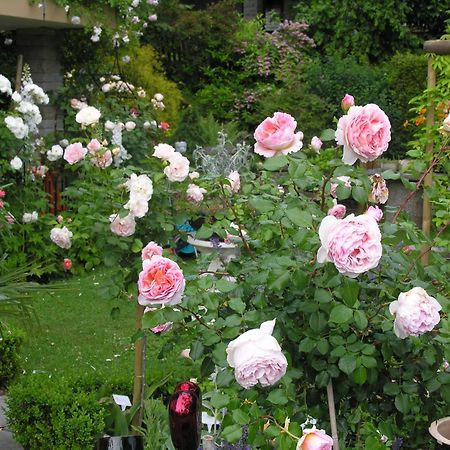Im Roeseligarten Wolfhausen Buitenkant foto