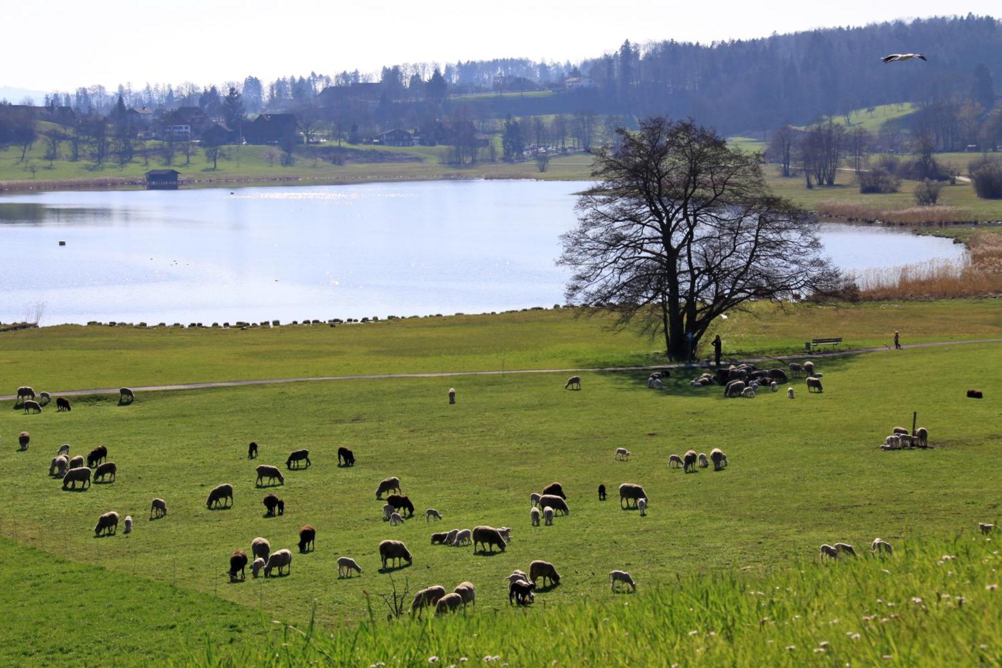Im Roeseligarten Wolfhausen Buitenkant foto